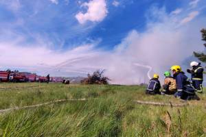 На Камінь-Каширщині лісівники локалізували 5 пожеж